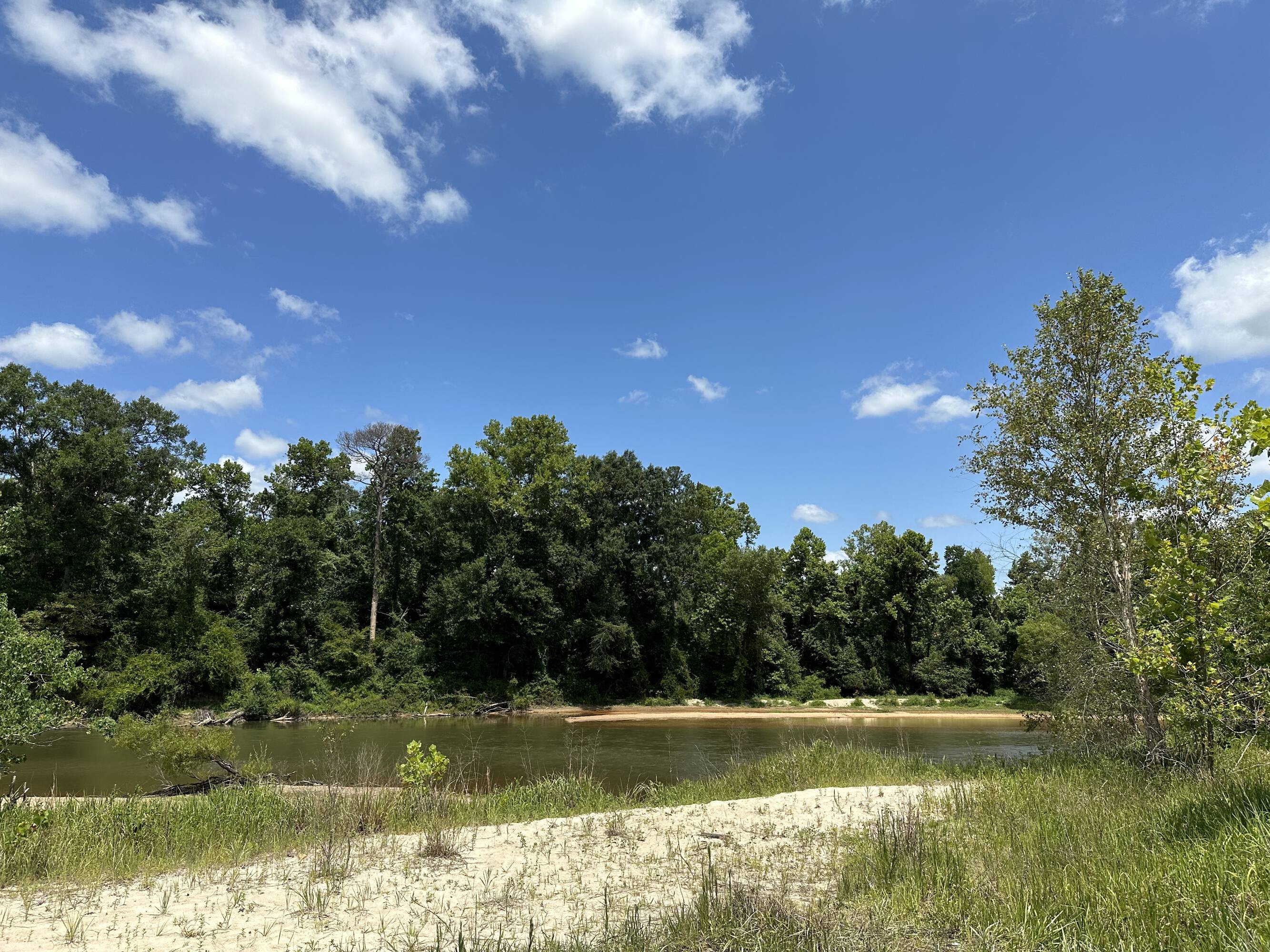 Land for Sale in Franklinton Louisiana 70438